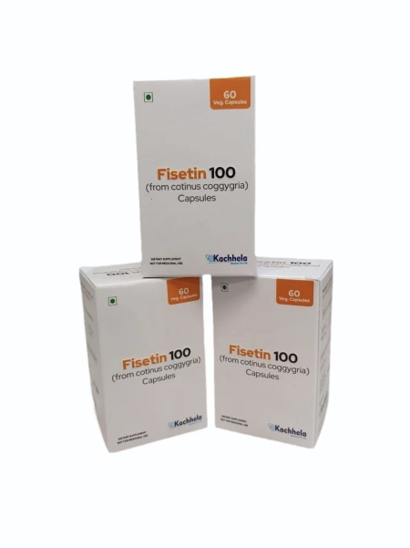 피세틴 Fisetin100mg (노화방지효과)