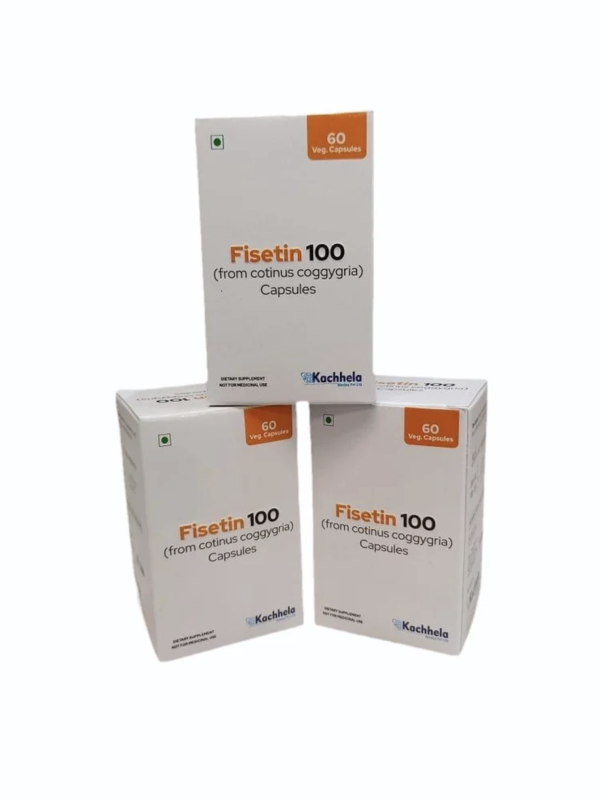 피세틴 Fisetin100mg (노화방지효과)
